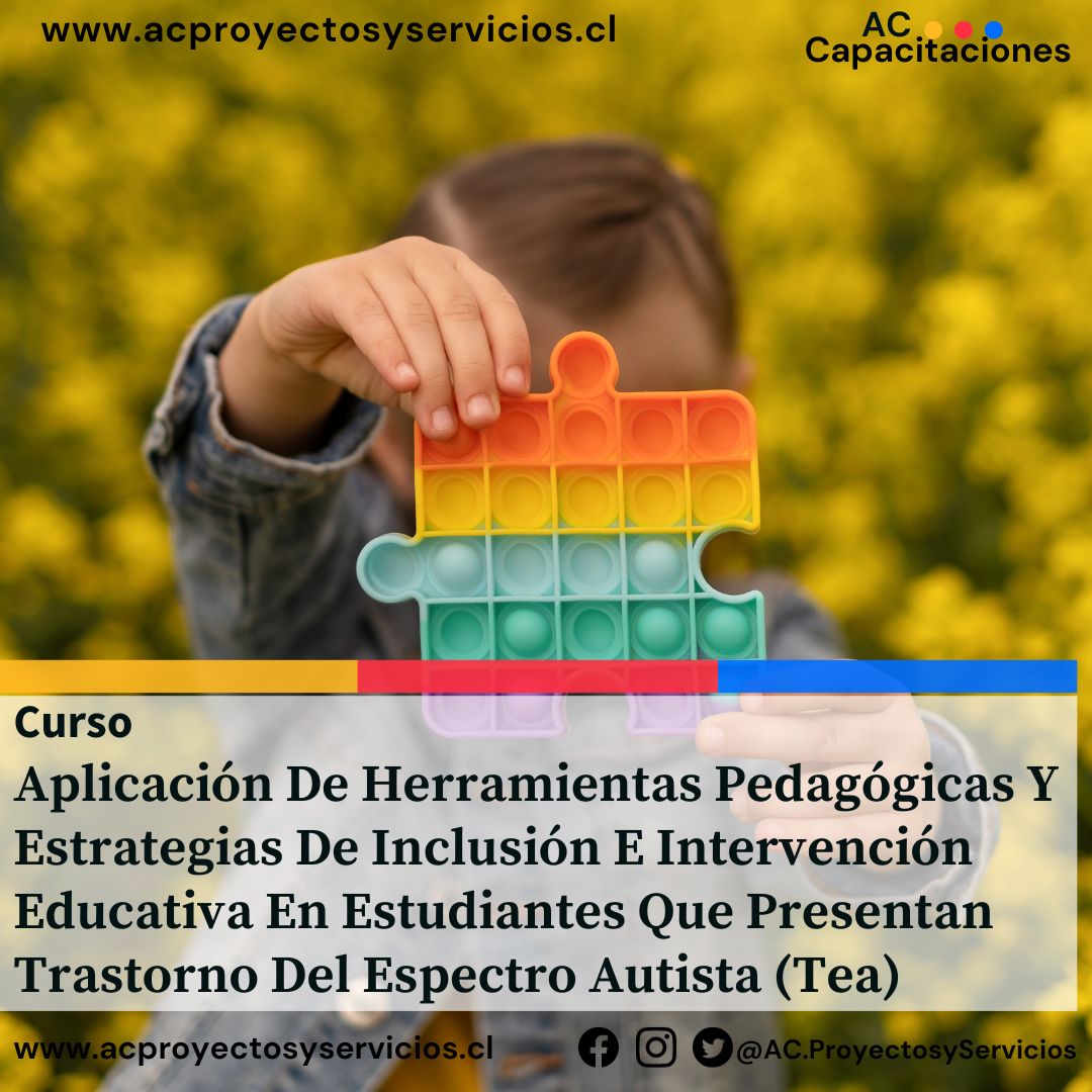 1. Aplicación De Herramientas Pedagógicas Y Estrategias De Inclusión E Intervención Educativa En Estudiantes con TEA